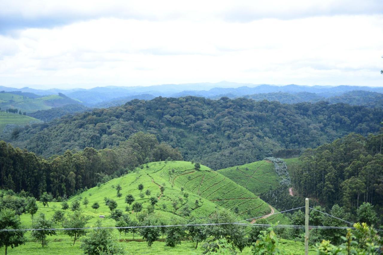 Nyungwe Village Kitabi Kültér fotó