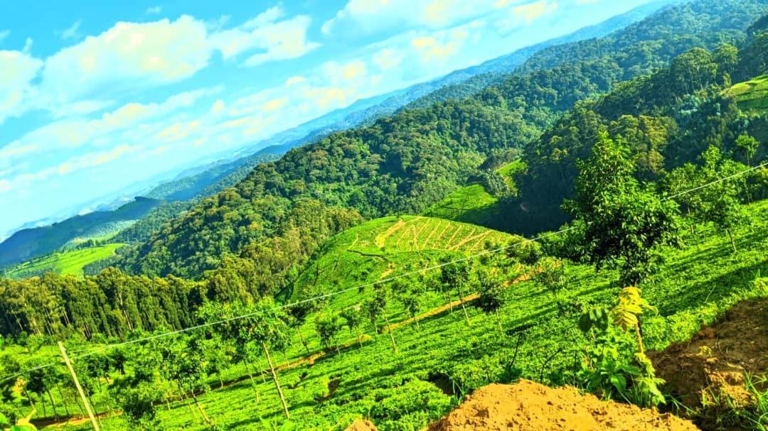 Nyungwe Village Kitabi Kültér fotó